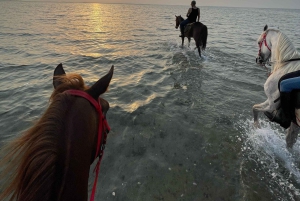 Djeddah : balade à cheval guidée