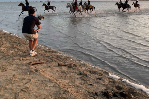 Djeddah : balade à cheval guidée