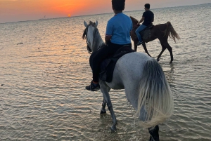 Djeddah : balade à cheval guidée