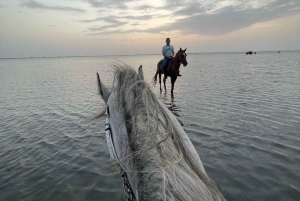 Djeddah : balade à cheval guidée
