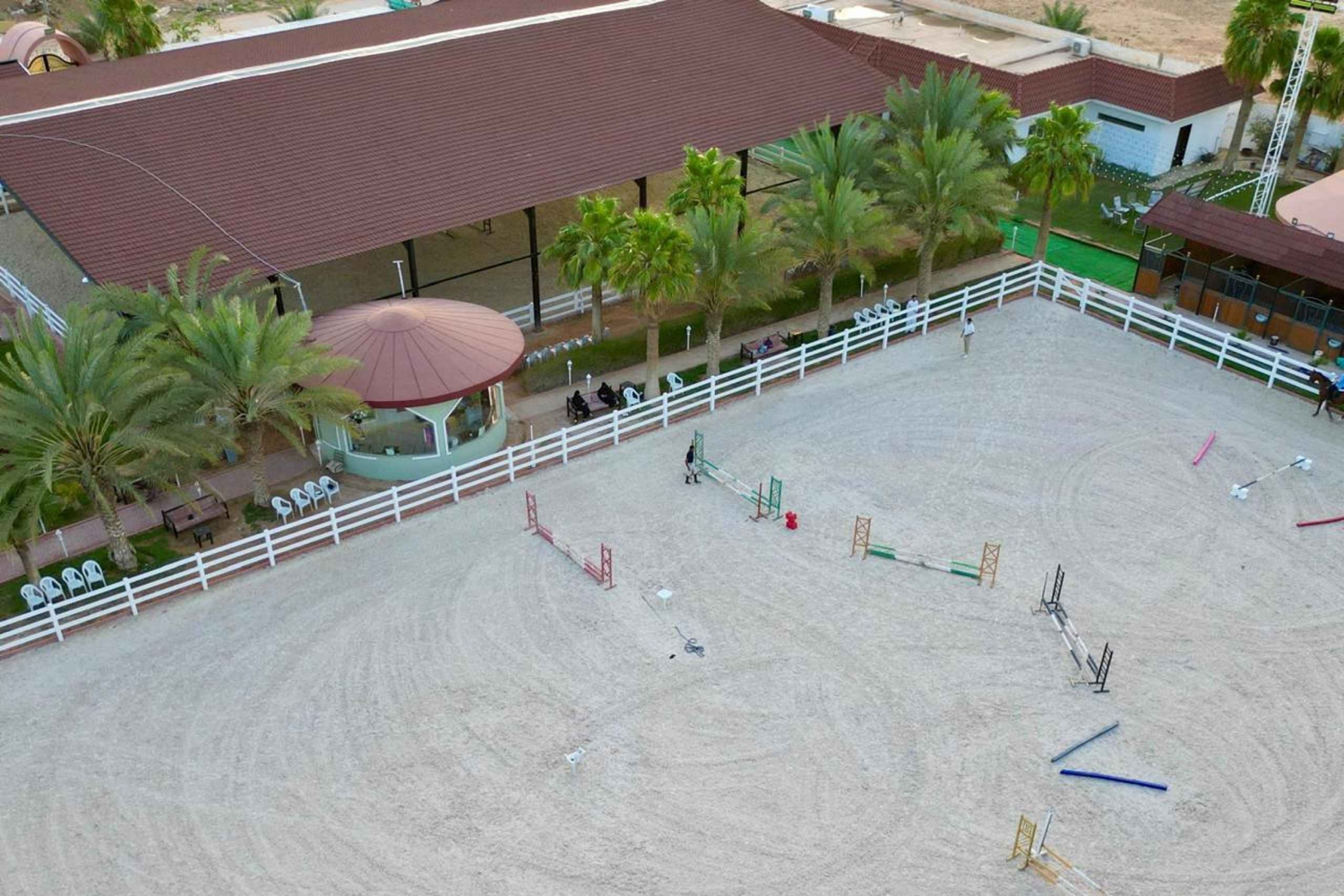 リヤドアラビア乗馬体験