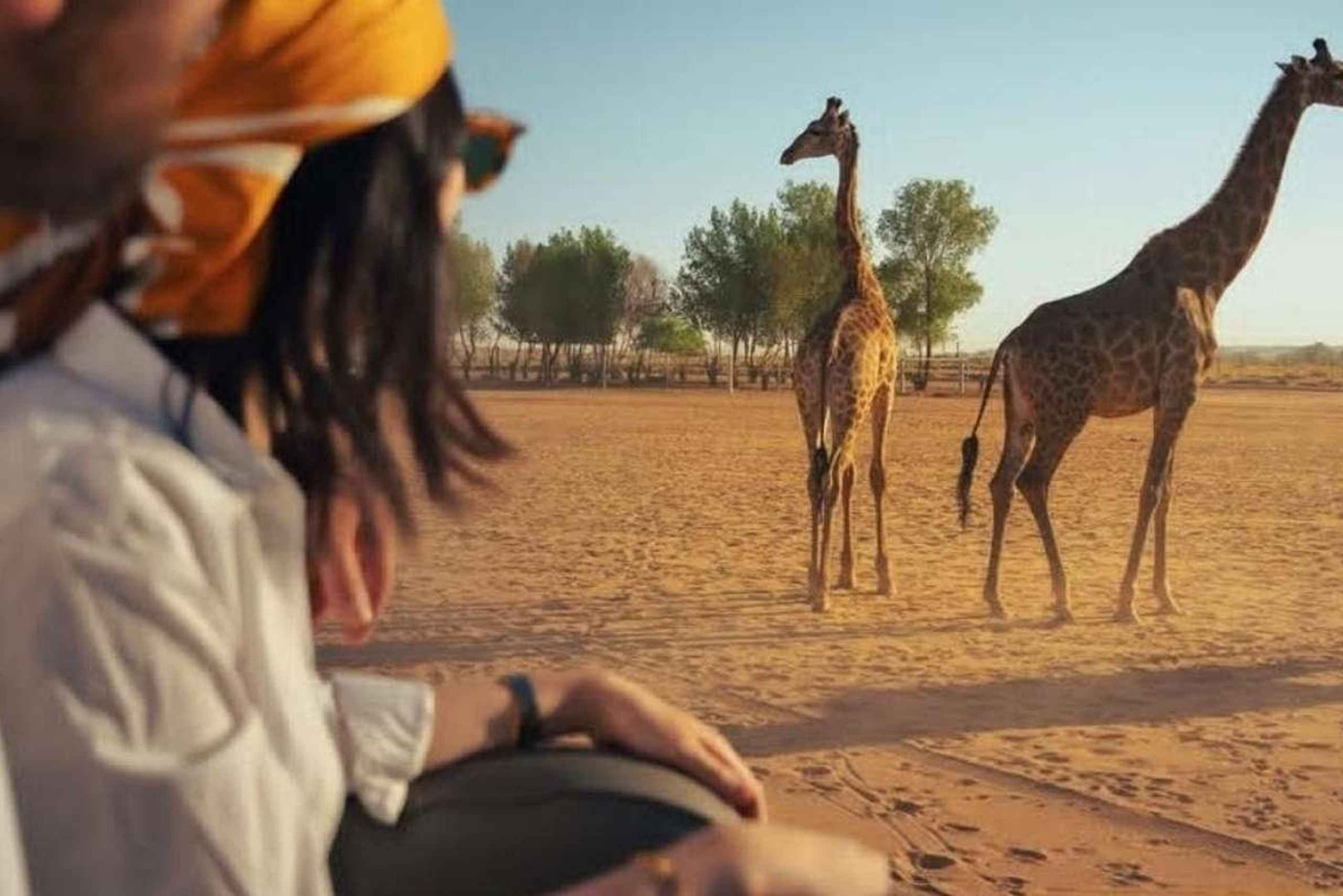 Riad: Private Tour durch den Nofa Wildlife Park Safari