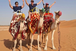 Riyadh: Ørkenens sanddyner (VIT-Qude-sykkel + kameltur)