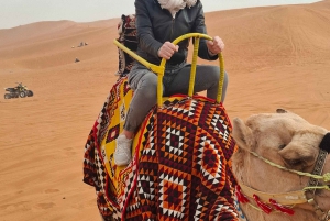 Sanddünenwüste (VIT-Quid Fahrrad + Kamelritt): Riyadh