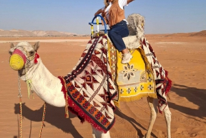 Sanddünenwüste (VIT-Quid Fahrrad + Kamelritt): Riyadh