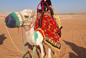 Sanddünenwüste (VIT-Quid Fahrrad + Kamelritt): Riyadh