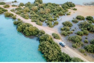 Arabie saoudite : voyage aux îles Farasan