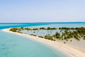Arabie saoudite : voyage aux îles Farasan
