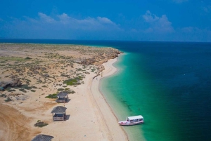 Arabie saoudite : voyage aux îles Farasan