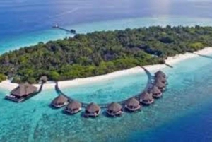 Arabie saoudite : voyage aux îles Farasan