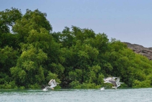 Arabie saoudite : voyage aux îles Farasan