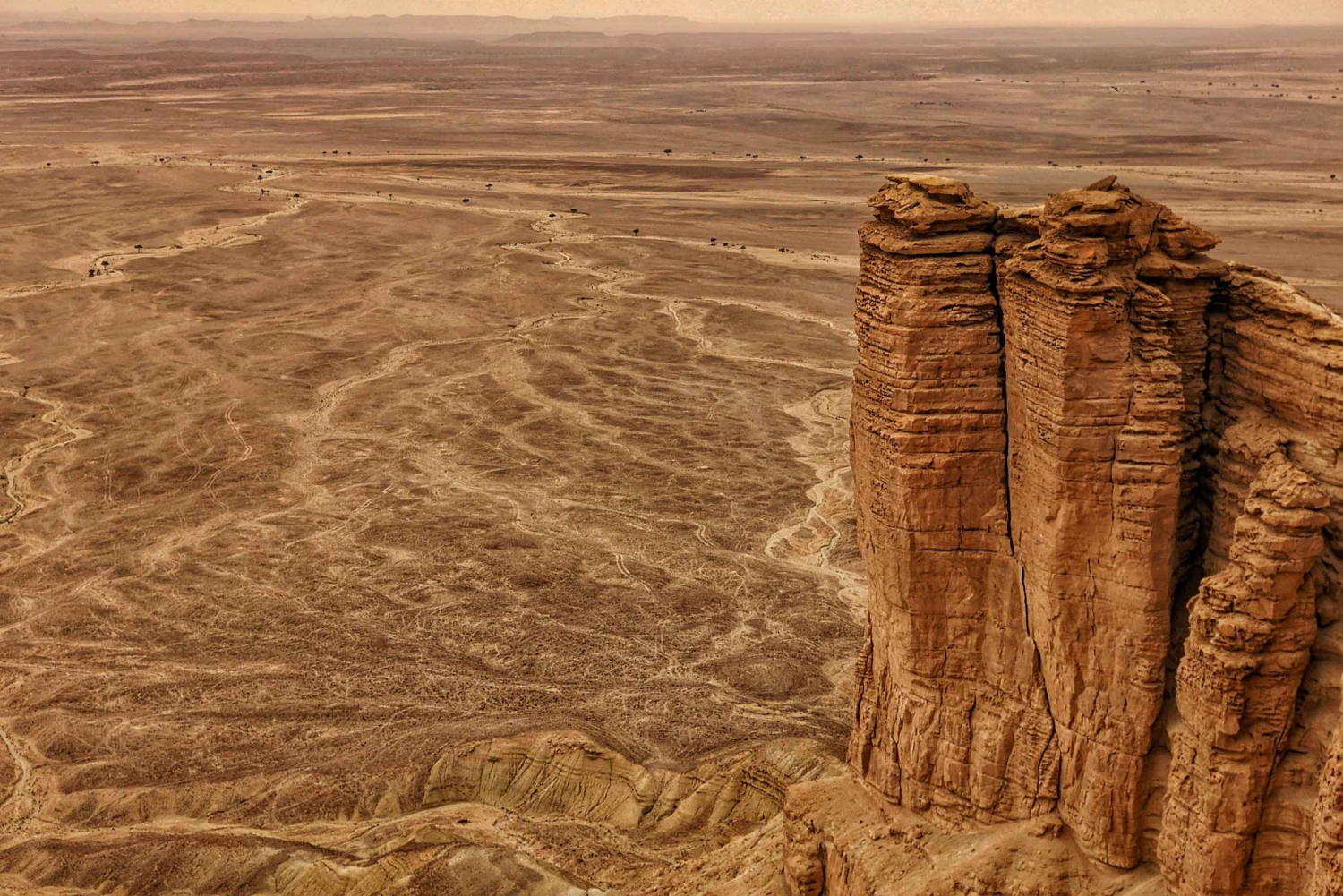 Från Riyadh: Edge of the World Privat guidad tur