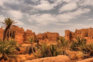 リヤドウシャイケル遺跡村プライベートツアー（昼食付