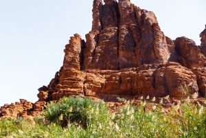 Приключение в Вади Дисах (из Табука)