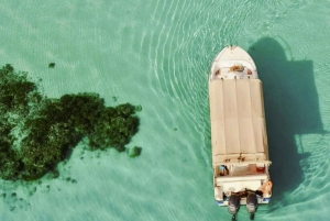 Yanbu: Buraydi Island Boat Tour