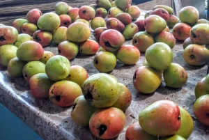 Mahé: Spersonalizowana prywatna wycieczka po wyspie z kierowcą