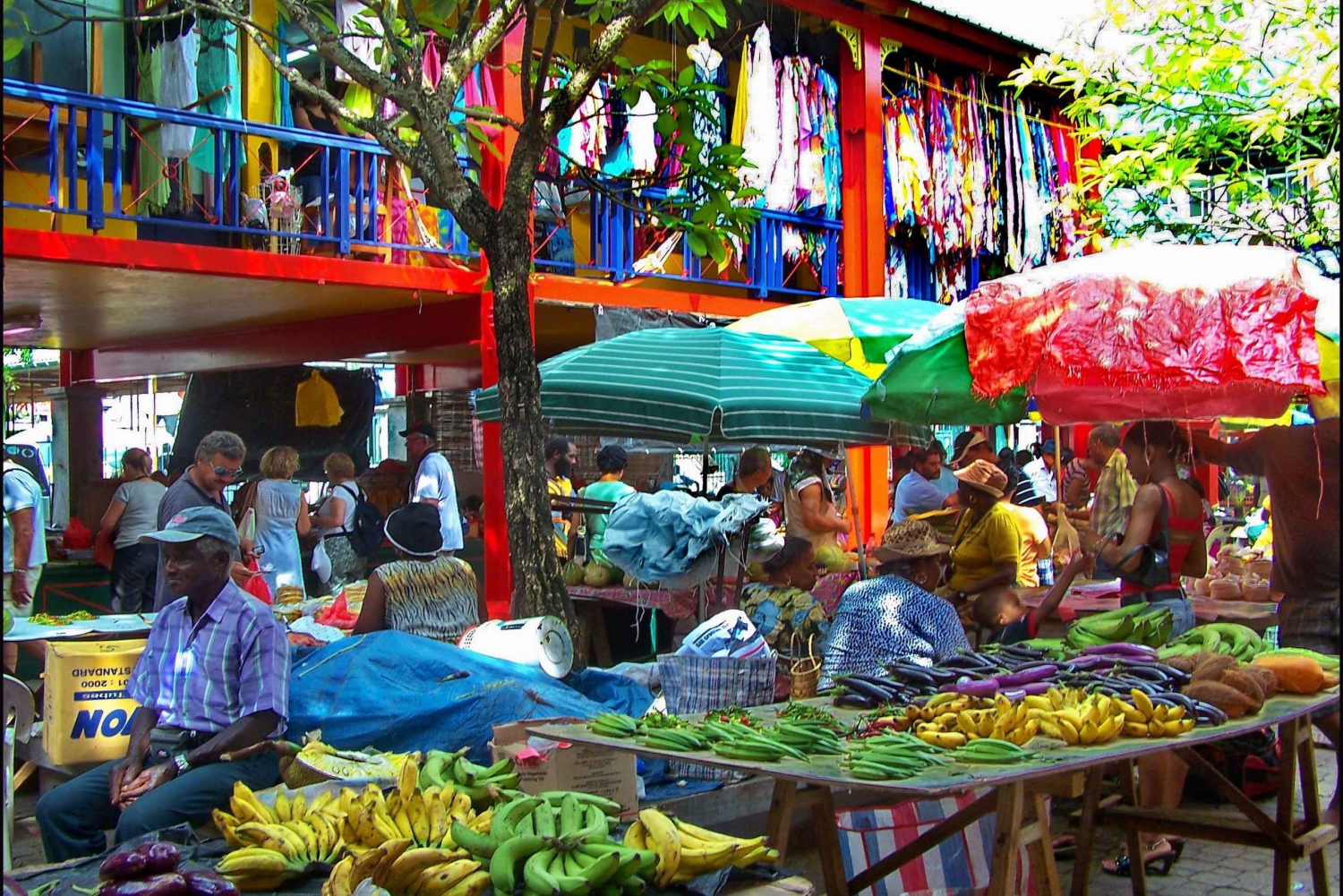 Victoria: wycieczka z przewodnikiem po mieście i wstęp do ogrodów botanicznych