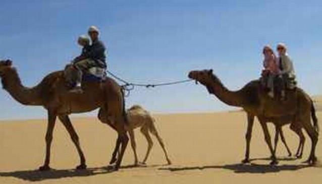 Camel Safari with Bedouin Dinner