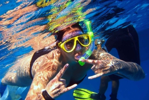 From Sharm: Half day Snorkeling Trip with Lunch
