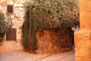 Sharmista: Mount Moses Trekking, Sunrise & Monastery Visit