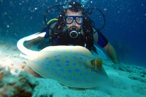 Sharm El Sheikh: Ras Mohamedin risteily snorklaamalla ja lounaalla