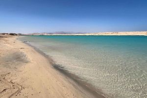Sharm: Tour di mezza giornata di Ras Mohammed in autobus e porta di Allah