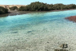 Sharm: Tour di mezza giornata di Ras Mohammed in autobus e porta di Allah