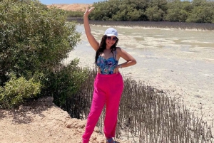 Sharm: Tour di mezza giornata di Ras Mohammed in autobus e porta di Allah