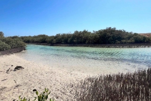 Sharm: Tour di mezza giornata di Ras Mohammed in autobus e porta di Allah