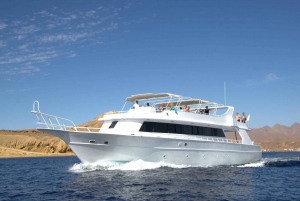 Ab Sharm: Ras-Mohammed-Kreuzfahrt mit Inselbesuch und Mittagessen