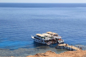 Ab Sharm: Ras-Mohammed-Kreuzfahrt mit Inselbesuch und Mittagessen