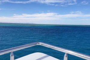 Ab Sharm: Ras-Mohammed-Kreuzfahrt mit Inselbesuch und Mittagessen