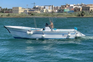 1-часовая экскурсия на лодке с посещением морских пещер и острова ортигия