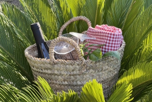 Agrigento: Vallei van de Tempels Tuinen Picknick Experience
