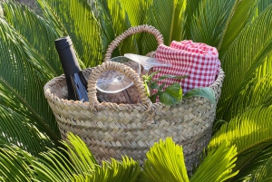 Agrigento: Valley of the Temples Gardens Picnic Experience