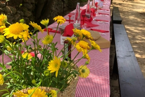 Agrigento: Valley of the Temples Gardens Picnic Experience