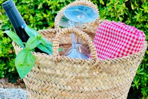 Agrigento: Valley of the Temples Gardens Picnic Experience