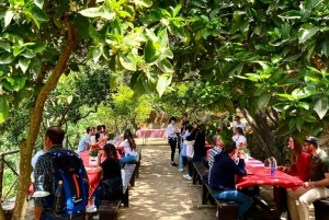 Agrigento: Valley of the Temples Gardens Picnic Experience