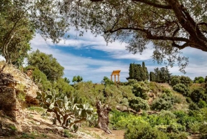 Agrigento: Valley of the Temples Gardens Picnic Experience