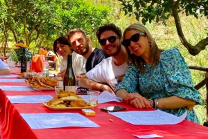 Agrigento: Valley of the Temples Gardens Picnic Experience