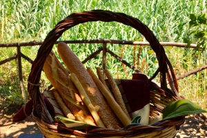 Agrigento: Valley of the Temples Gardens Picnic Experience