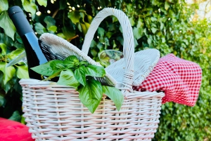 Agrigento: Valley of the Temples Gardens Picnic Experience