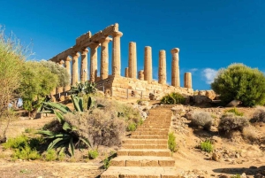 Agrigento: Tal der Tempel Private Archäologische Tour