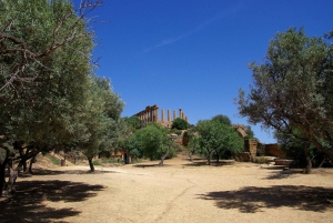 Agrigento: Tal der Tempel Private Archäologische Tour