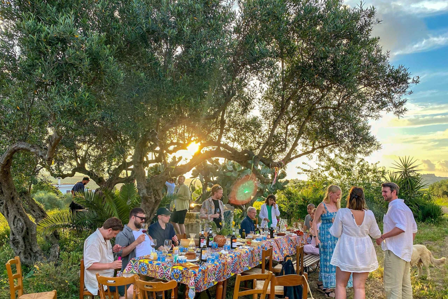 Алькамо: Дегустация натурального вина и оливкового масла - Сицилия