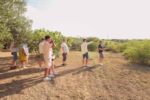 バレストラーテ：ワインとオリーブオイルの試飲付きオリーブ園ツアー