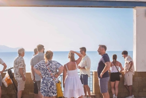 バレストラーテ：ワインとオリーブオイルの試飲付きオリーブ園ツアー