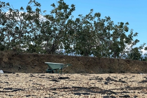 ブロンテ：ピスタチオ農園ツアーと試食体験をご案内します