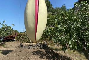 ブロンテ：ピスタチオ農園ツアーと試食体験をご案内します