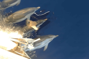 Catania: Bootsfahrt mit Aperitif, Prosecco und Schnorcheln